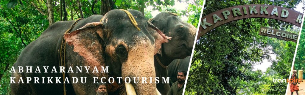 Abhayaranyam Kaprikkadu Ecotourism