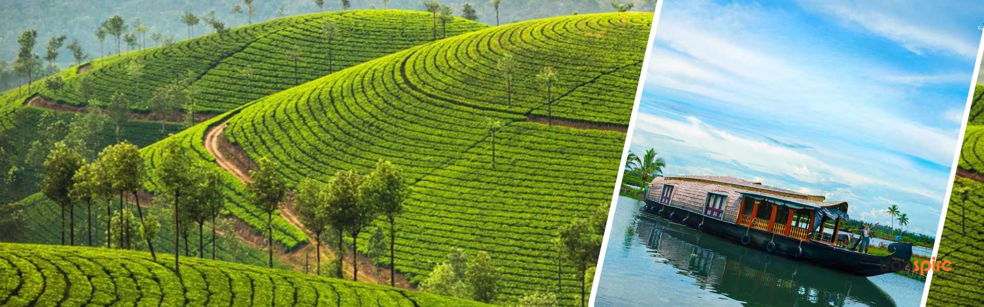 Bliss Escape : Munnar Kumarakom Tour Package 3 Days