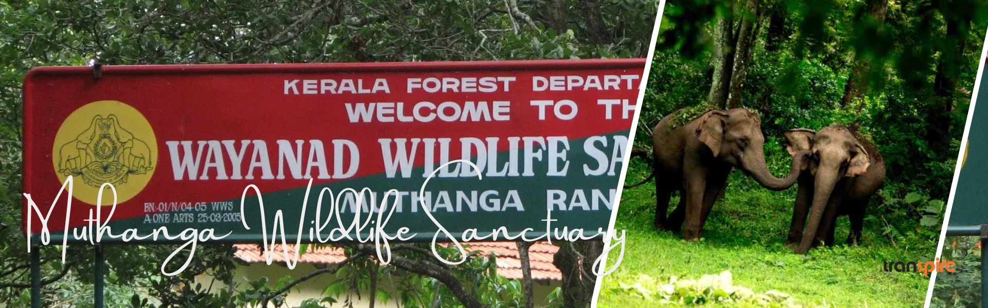 Muthanga Wildlife Sanctuary