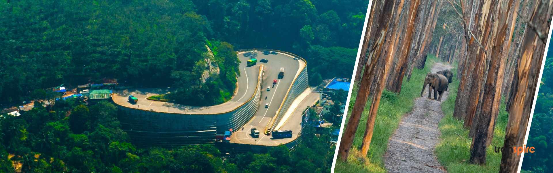 Wayanad Green Escape