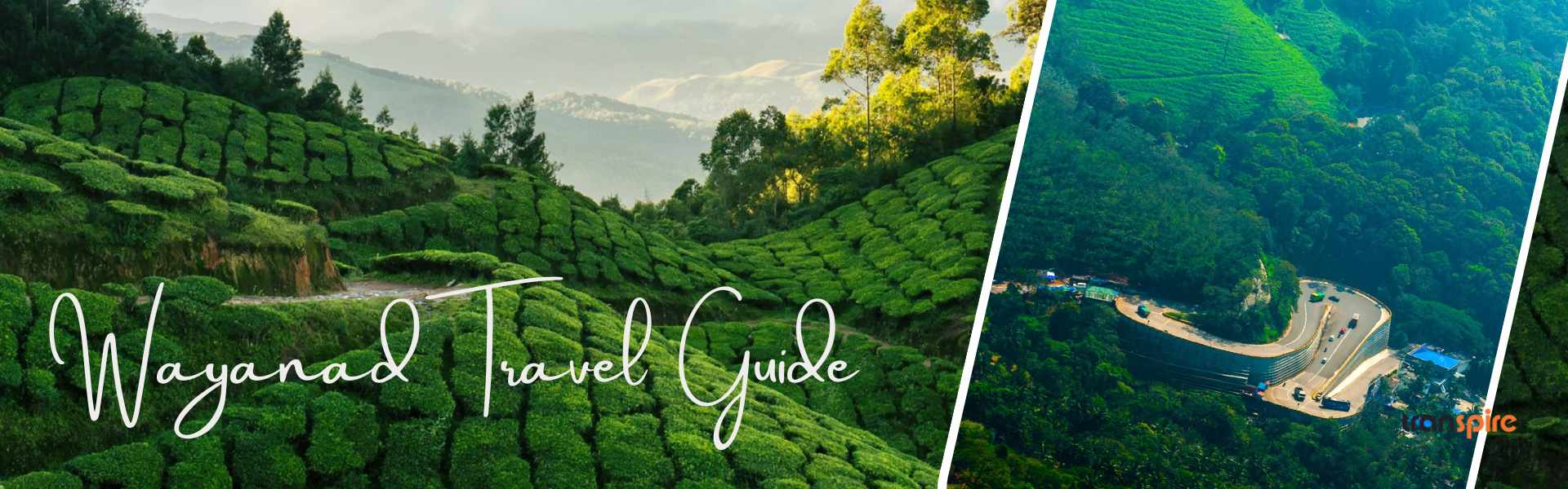 Wayanad Travel Guide