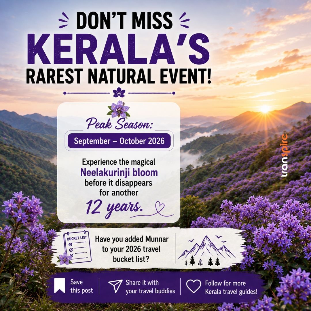 Neelakurinji Bloom Munnar 2026 10 Call to Action 💜 Don't Miss Kerala's Rarest Natural Event! 📅 Peak Season: September – October 2026 🌸 Experience the magical Neelakurinji bloom before it disappears for another 12 years. 💬 Have you added Munnar to your 2026 travel bucket list? ❤️ Save this post 📤 Share it with your travel buddies 🔖 Follow for more Kerala travel guides!