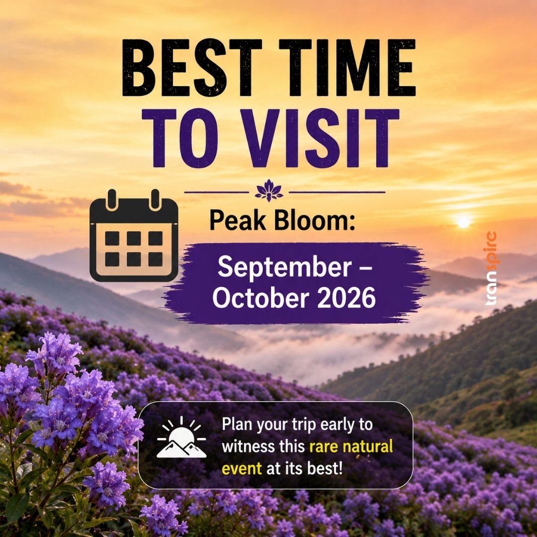 Neelakurinji Bloom Munnar 2026 3 Best Time to Visit 📅 When Should You Go? 🌿 Peak Bloom: September – October 2026 Enjoy: ✅ Pleasant weather ✅ Misty mountains ✅ Fresh greenery ✅ Purple-covered landscapes Plan your trip early for the best experience!