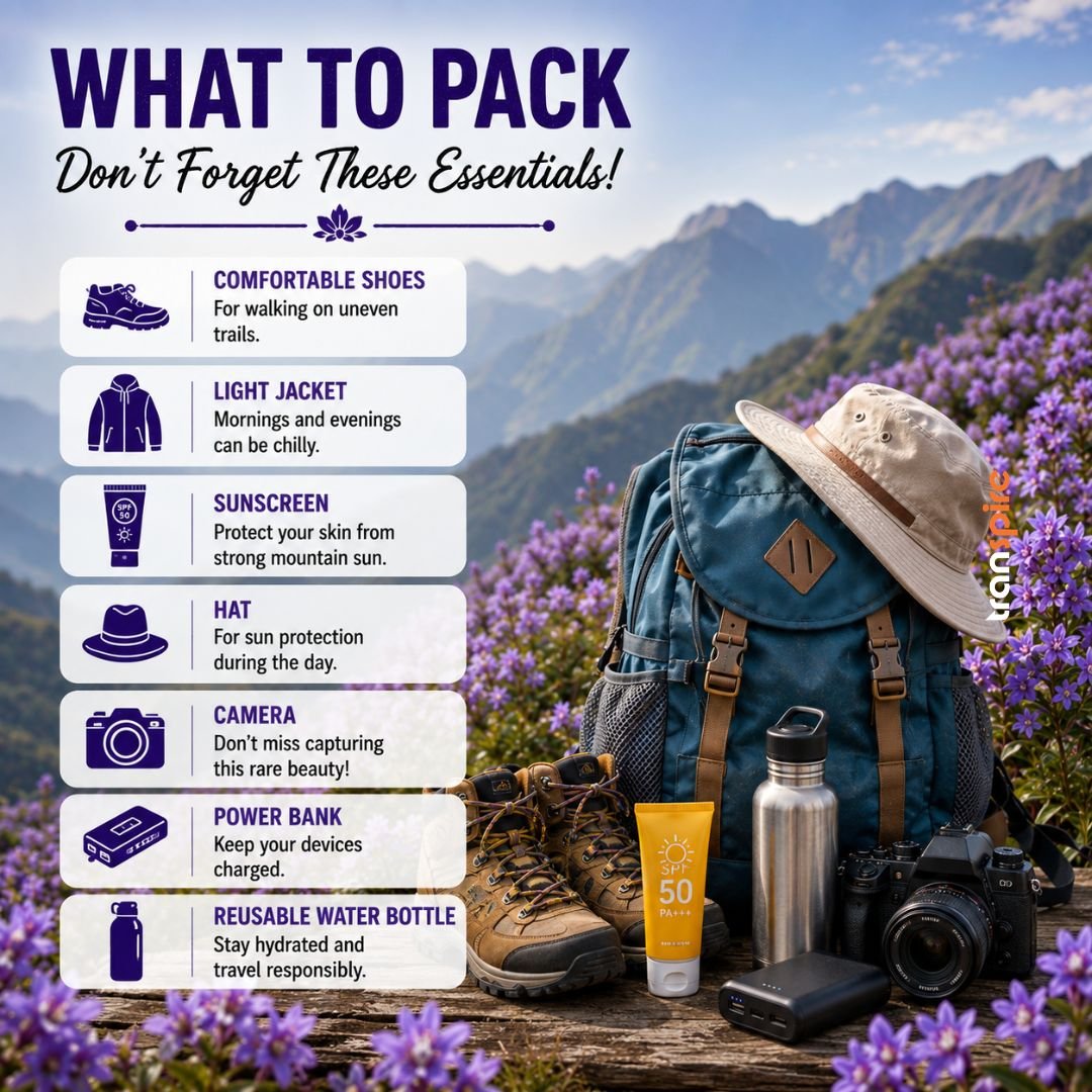 Neelakurinji Bloom Munnar 2026 7 What to Pack 🎒 Don't Forget These Essentials 👟 Comfortable shoes 🧥 Light jacket 🧴 Sunscreen 🧢 Hat 📷 Camera 🔋 Power bank 💧 Reusable water bottle Travel smart for a comfortable trip.