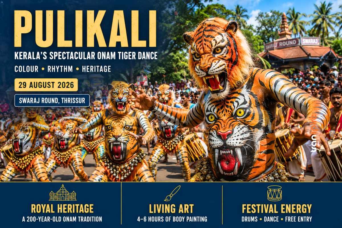 Painted tiger dancers performing Pulikali during the Onam festival at Swaraj Round in Thrissur, Kerala.
